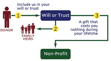 will_or_trust